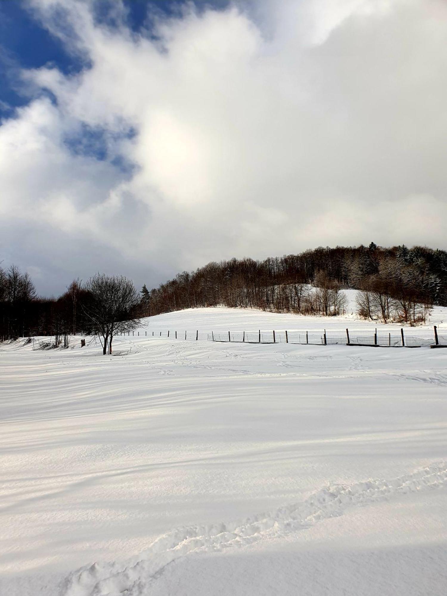 Agroturystyka Natura Pilchowice Exterior foto
